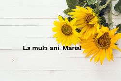 Mesaje de Sfânta Maria Mică 2025: Ce la mai frumoase urări creștine pentru data de 8 septembrie Mesaje de Sfânta Maria Mică 2025: Ce la mai frumoase urări creștine pentru data de 8 septembrie